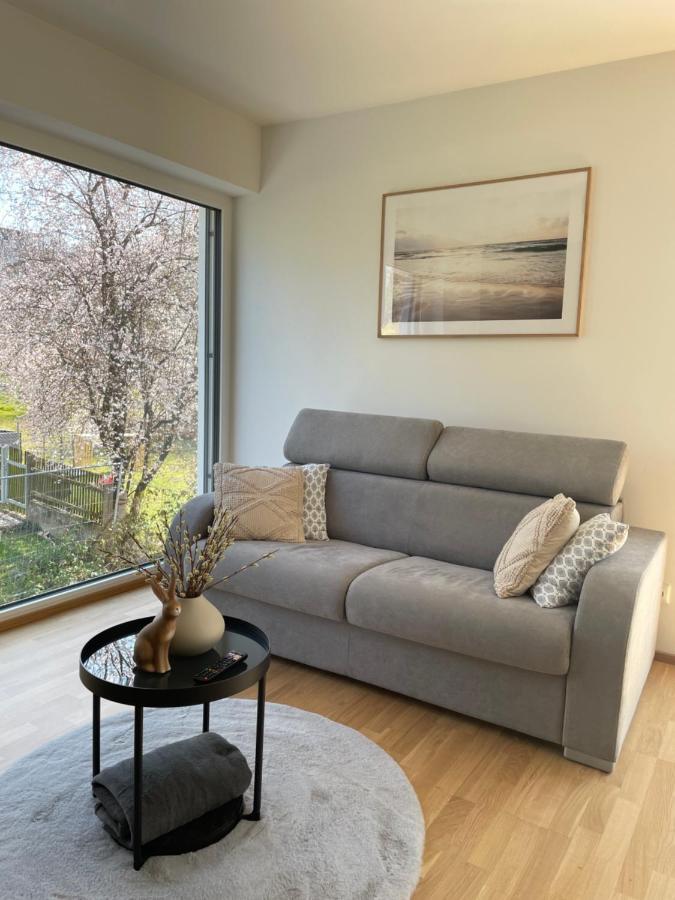 Luxury - Apartment Mit Balkon In Seenaehe Gmunden Eksteriør bilde